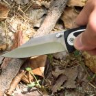 LAGUIOLE Vadászbicska 21 cm-es, egzotikusfa markolatú kés 40268404